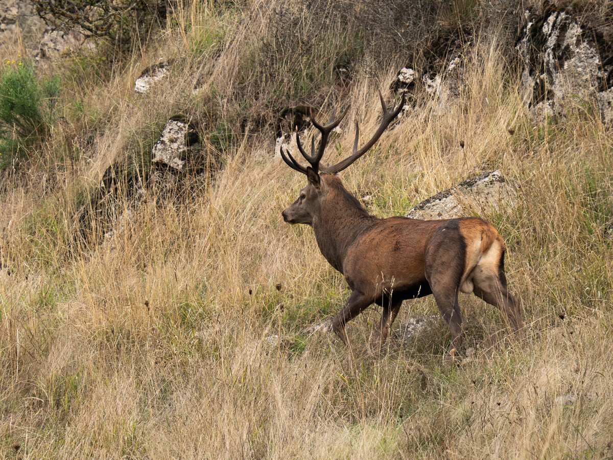 03102025-03 10 25 (20).jpg